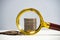 A stack of coins under a magnifying glass. Review of capital and investments. Business model for capitalization.