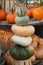 Stack of color gourds squash and pumpkins