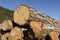 Stack of coniferous timber in the Rhodope Mountain