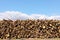 Stack of cut pine tree logs in a forest. Wood logs, timber logging, industrial destruction, forests Are Disappearing, illegal