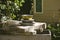 Stack of Dishes in a dilapidated garden