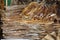 Stack of Dried fishes