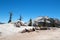 Stack of dried out dead wood at the base of Sub Dome next to Half Dome in Yosemite National Park in California