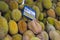 A stack of durians at a fresh market in the Malaysian capital of Kuala Lumpur. The strong smelling fruit with its prickly skin and