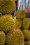 Stack of durians fruit at the market