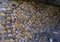 Stack of firewood close-up in the basement. Wooden background. Energy industry. Heating with wood