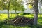 Stack of firewood in fruit garden