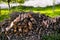 Stack of firewood in fruit garden