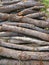 A stack of firewood of holm oaks