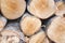 Stack of firewood, round birch chunks