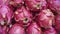 Stack of fresh dragon fruit for sale in a farmers market