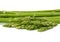 Stack of fresh green asparagus on white