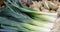 Stack of fresh leeks on a flea market counter. Fresh vegetables background