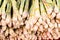 Stack of freshly harvested lemongrass