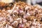 Stack of garlics on a market stall