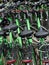 Stack of Green Bicycle Rentals