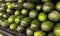 A stack of green zucchini taken at a side view