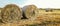 A stack of hay. Bright ripe grain field. Yellow wheat against the blue sky. Harvesting period banner. Close up of ear of