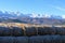 Stack of large hay bale in a field in Ridgway Colorado with the