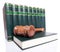 Stack of law books and a judge gavel