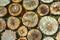 Stack of logs. Natural wooden background. Ð¡lose up the stacks of dry woods. Wood log slice is wall