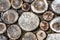 Stack of logs. Natural wooden background. Ð¡lose up the stacks of dry woods. Wood log slice is wall