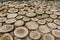 Stack of logs. Natural wooden background. Ð¡lose up the stacks of dry woods. Wood log slice is wall