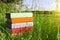 Stack of multicolored books on the green grass on the background of beautiful nature surrounded by meadows at sunny day.