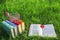 Stack of multicolored old books and open book on the grass at nature, small cart, outdoor office.