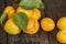 Stack of old brown books close-up. Books background place for text. Stack of books.Apricots on a dark wooden background. Ripe summ