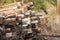 A stack of old railroad ties