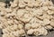 Stack of oriental flatbreads on display at market stall