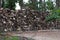 Stack of Petrified Wood