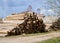 Stack pine log waiting transportation