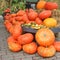 Stack of Pumpkins, Halloween