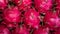 Stack of red pitaya dragon fruit