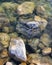 Stack of rocks in water