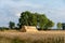 Stack of round bales of straw on a stubble field