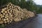 Stack of round timber wood in forest. woodpile