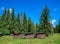 Stack of sawn boards prepared for sale on the mountain valley.