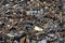 stack of scrap metal at recycling junkyard