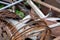 Stack of scrap metal, rusty wires in front. Recycling and garbage