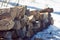 A stack of split firewood on snow covered ground