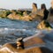 Stack of stones, pebble balance at beach