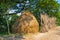 Stack of straw after harvest on the side of a country road. Dry haystack for cattle feed. Harvesting forage for the