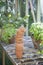 Stack Of Terracotta Flowerpots In Greenhouse