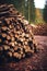Stack timber trees forest background log