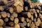 Stack tree trunks end of a sawed logging construction background of a rustic design of a lot of logs