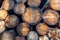 Stack of tree trunks with markings recorded in the forest in horizontal format