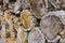 Stack of wood from cork oak